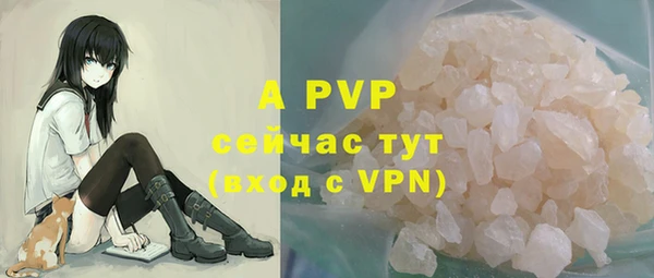 молекула духа Видное