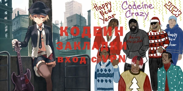 мдпв Весьегонск