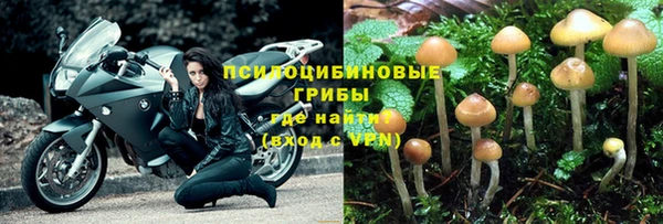 скорость Богданович