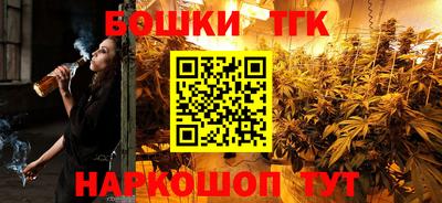 стаф Шелехов